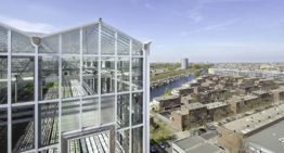 Growing vegetables in an urban environment