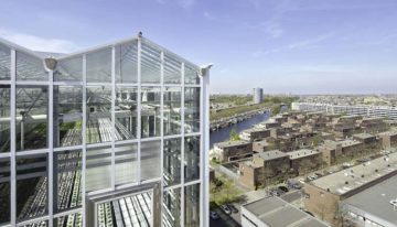 Growing vegetables in an urban environment