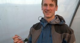 ‘Algae are the vegetables for the future.’