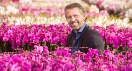 Lessons in Brazilian climate