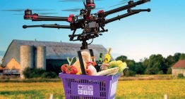 Online sale of fresh produce promising and challenging