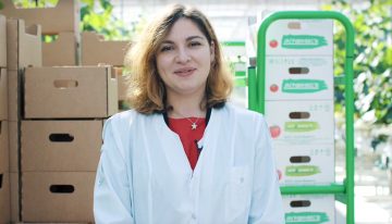 Russian greenhouse project Agro-Invest captured on video