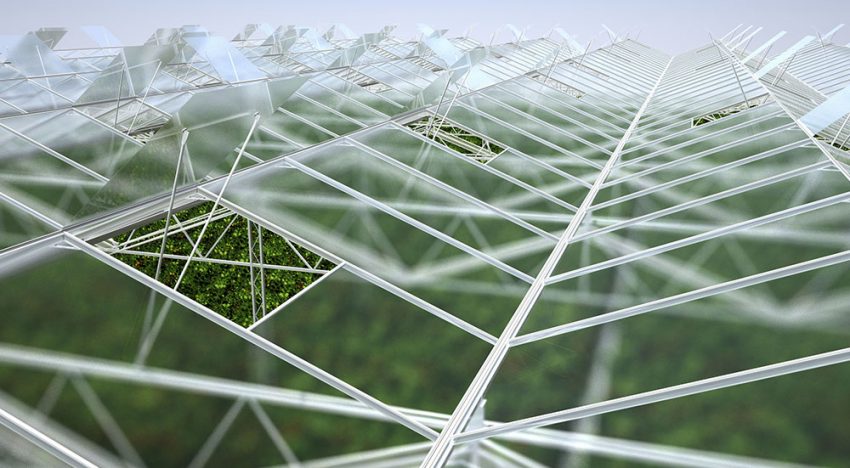 Bom Group introduces Winterlight Greenhouse concept: 10% more light