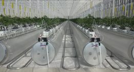 Kubo to supply turnkey Ultra Clima greenhouse in China
