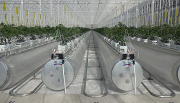 Kubo to supply turnkey Ultra Clima greenhouse in China
