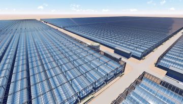 Kubo to build 190 hectares of solar greenhouses in Oman
