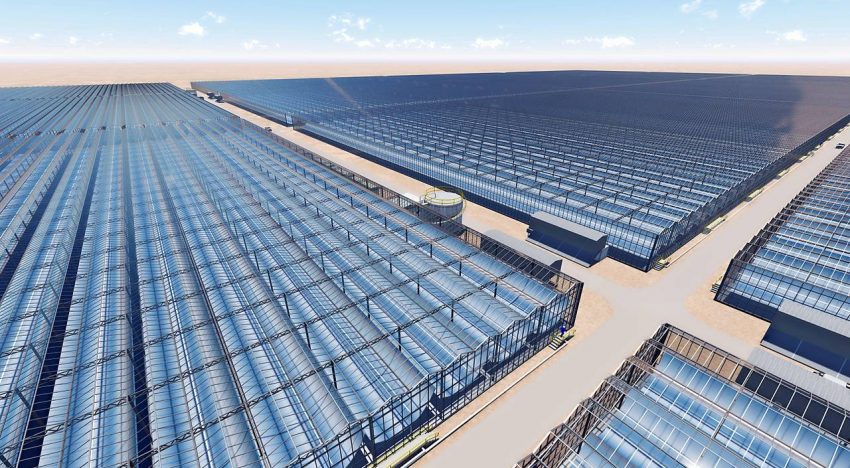 Kubo to build 190 hectares of solar greenhouses in Oman