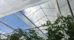 Wageningen UR Greenhouse Horticulture concludes strategic partnership with Hortivation