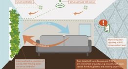 Consortium is working on a green wall for active air purification