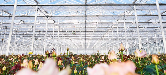 Svensson launches new climate screen Svensson launches new climate screen