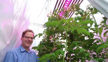 ‘No greenhouse should be without diffuse glazing, no matter where in the world’