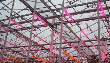 LEDs for energy savings of 50%