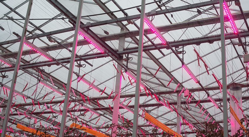 LEDs for energy savings of 50%