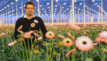 Pioneering with the Next Generation Growing