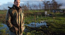 Dutch startup Plant-e tests green electricity derived from grass