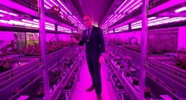 Vertical farming is definitely the future, the only question is where and when