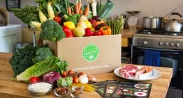 Food safety and quality critical success factors in online sales