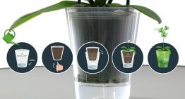 Growers jointly develop new watering system with supplier