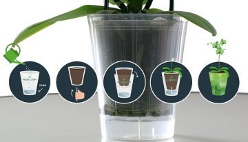 Growers jointly develop new watering system with supplier