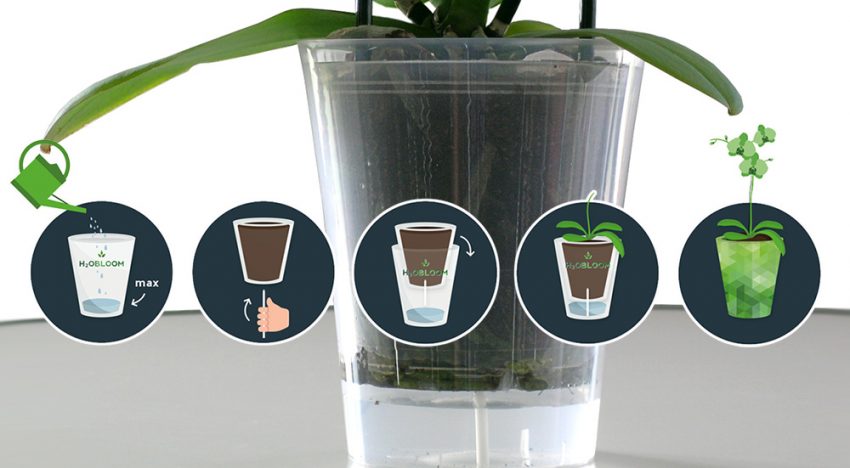 Growers jointly develop new watering system with supplier