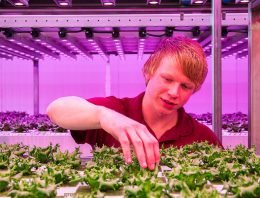 Vertical Farming is growing worldwide, especially outside the Netherlands