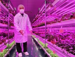 Electronics manufacturers express growing interest in commercial farming