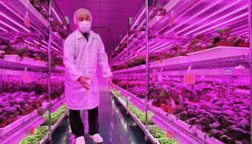 Electronics manufacturers express growing interest in commercial farming