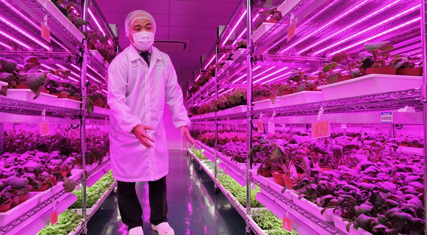 Electronics manufacturers express growing interest in commercial farming