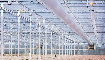 Two chrysanthemum growers are definitively starting with ‘The Next Generation Growing’