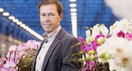 Advance of LEDs seems unstoppable despite critical noises