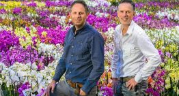 Perfect climate for orchid cultivation and sales chances are good