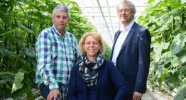 ‘We thought differently about the market for our German branch’