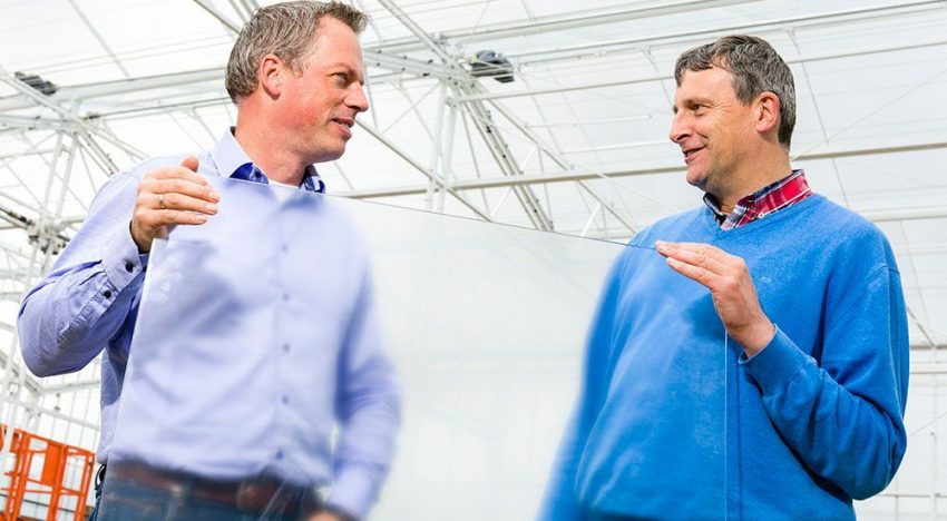 Winter light greenhouse at research centre ready for cucumber trial