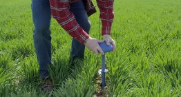 Westland LoRa network nominated for award