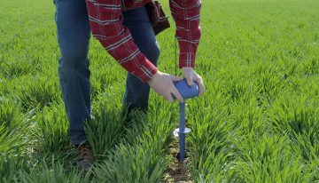 Westland LoRa network nominated for award