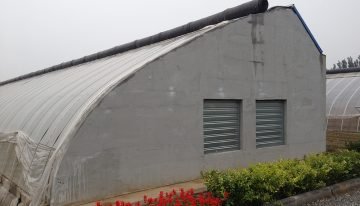 Experts try to revitalise China’s failing high tech greenhouses