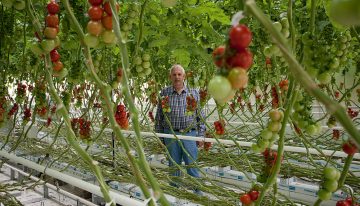 'Open crop can bring forward production and save energy'