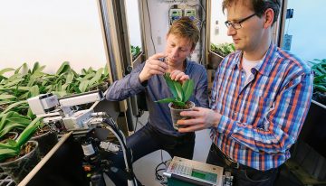 Can you save electricity by dimming both morning and afternoon?