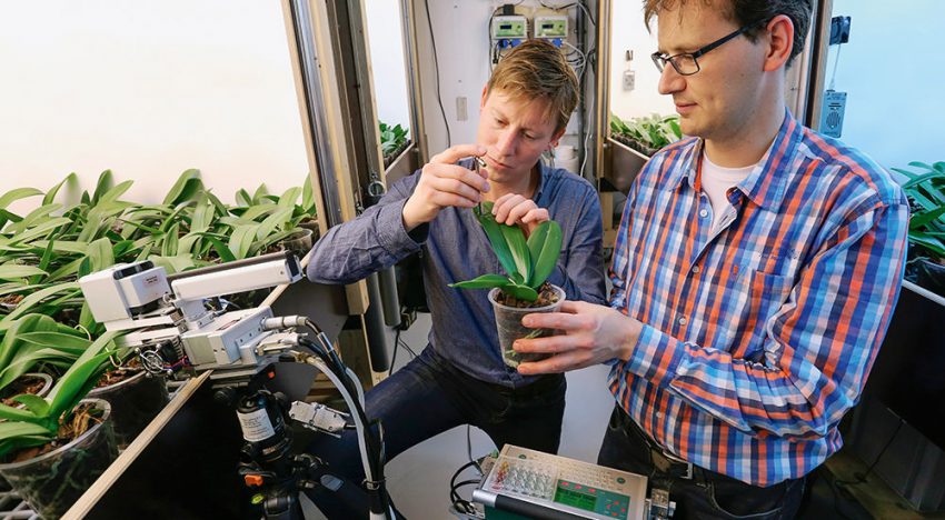 Can you save electricity by dimming both morning and afternoon?