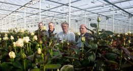 ‘In the greenhouse temperature differences not easy to solve’