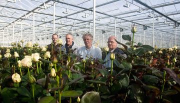 ‘In the greenhouse temperature differences not easy to solve’