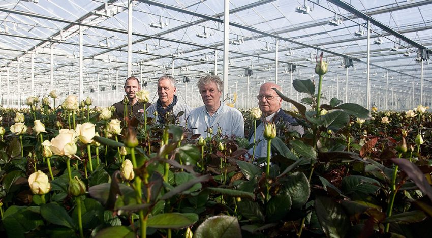 ‘In the greenhouse temperature differences not easy to solve’