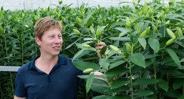 CO2-dosing brings huge energy savings with same quality