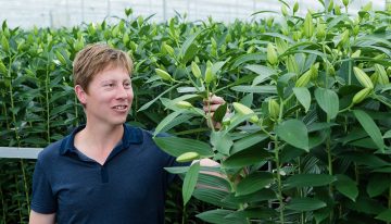 CO2-dosing brings huge energy savings with same quality