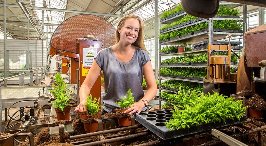 Coco peat and biochar are good alternatives for peat in potting soil