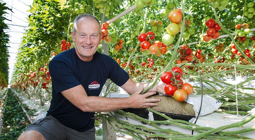 ‘With good bacteria and fungi you can win the war in the slab’