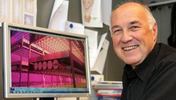 Light induction influences production of compounds and plant physiology