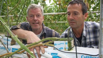 Wireless sensor gives representative image of water content in slab