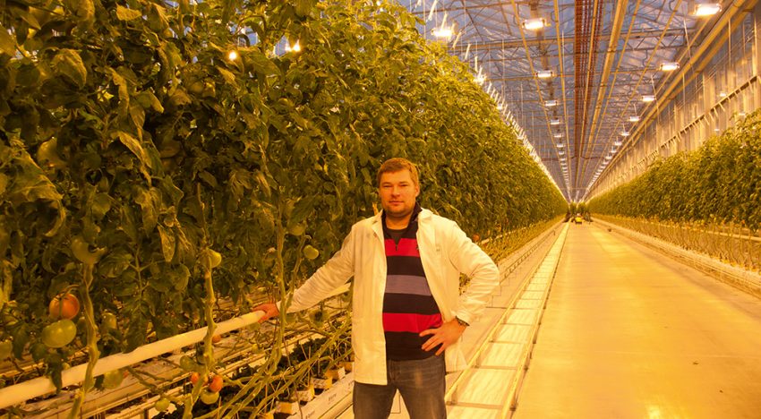 Contributing to the region’s self-sufficiency in vegetable production