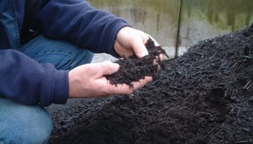Use compost to increase resistance to plant diseases